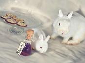 jeudi, c’est animaux mimi