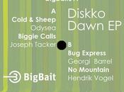 Various Artists Diskko Dawn