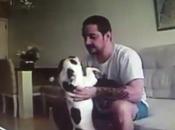 homme maltraite chiens (Brésil)