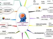 Neurosciences cartes mentales