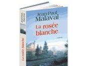 Rosé blanche Jean-Paul Malaval