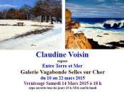 Galerie VAGABONDE Selles cher Mars 2015 exposition Claudine VOISIN