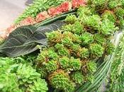 Garry TAFFIN Benoit AMAND nouveaux floral, d'autres images