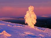 Quand glace devient belle