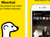 Meerkat l’application cartonne connaît succès fulgurant