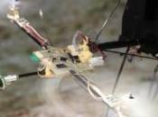 tout premier drone voler relief sans accéléromètre grâce oeil bio-inspiré