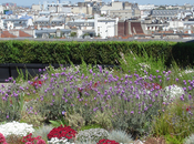 France, toits zones commerciales devront être végétalisés