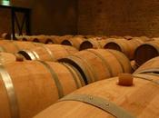 Primeurs 2014 appellation Saint Julien fin)