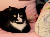 Véranda extension vivre