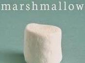 Test marshmallow, Walter Mischel