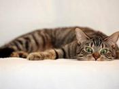 vacances pour récupérer