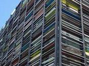 HISTOIRE L’ÉTAT-CIVIL GÉNÉALOGIE GUADELOUPE Madame Anne LEBEL