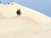 Pourquoi l’État veut acheter dune Pilat