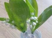 Bonne toutes tout auditeurs Bernay-radio.fr…