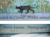 Rétrospective Chantal Crissey, peintre animalier,à mairie exposition photos (Californie) Pierre AUROUX