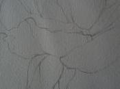 Croquis rose