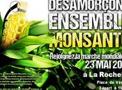 Marche mondiale contre Monsanto Rochelle, Place Verdun,