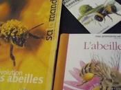 faut abeilles, partout