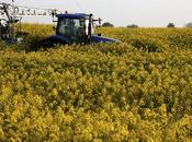 sols agricoles insuffisamment protégés pouvoirs publics