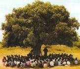 L’Afrique de nos rêves…