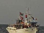 "Flottille Liberté" appelle mobilisation internationale pour briser siège Gaza