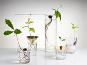 Discoveries No.5 Floating Forest Michael Anastassiades