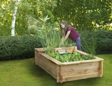 Et si vous installiez un petit jardin aquatique sur votre terrasse ?