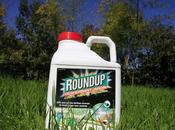 Ségolène Royal demande jardineries plus vendre Roundup Monsanto