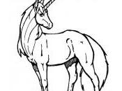 dessin licorne