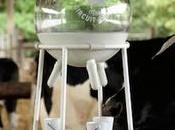 DESIGN nouvelle vache lait