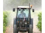 Pourquoi l'usage pesticides est-il scandale économique