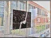 "Splendour grass" Expo photos