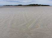 Dossen Sieck photos)