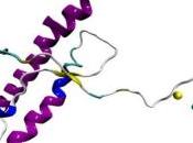 ÉPILEPSIE: protéine prion protège contre crises Scientific Reports