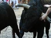 Espagne Encore plusieurs taureaux blessés après lâcher d’humains