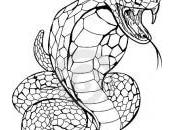 illustration serpent