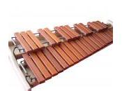 image xylophone