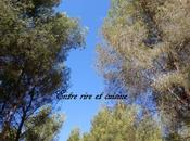 Retour vacances...mais toujours "mode ralenti&amp;quot;