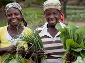 Ghana laboratoire pour developper production légumes