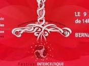 Festival interceltique Emvod Gelted 2015″ Bernay-radio.fr…