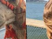 rockstars doivent-elles prendre selfies