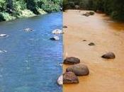 Animas river, Colorado.