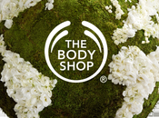 Beauté revue gamme arbre Body Shop