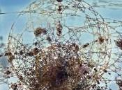 titre nouvelle album Alan Stivell écoute Bernay-radio.fr