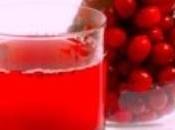 CANCER CÔLON: poudre cranberries pour réduire tumeur?