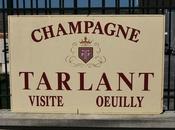 Visite Champagne domaine Tarlant