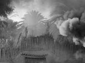 Exposition Paysages conjugués Pierre Fenoÿl Galerie Réverbère Lyon