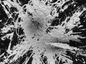 Exposition KRYSTÖF Peintures urbaines