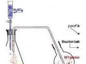 illustration sciences physique