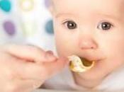 NUTRITION: Petits pots pour bébé, sont-ils équilibrés? Maternal Child Nutrition